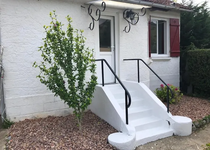 Rendez Vous Avec La Tatil Evi *